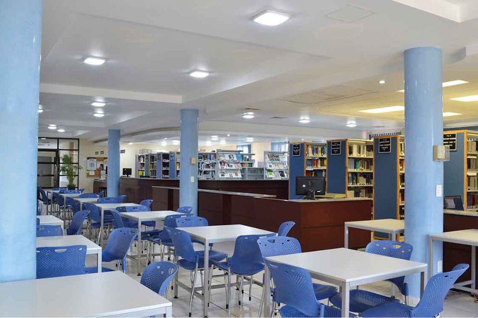 Biblioteca: Literatura, educación y ciencias.