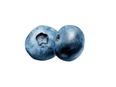 Blueberries