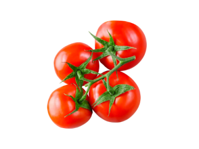 Tomatoes on the vine