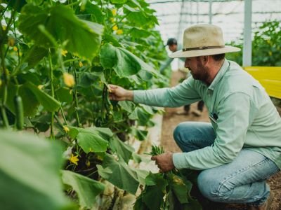 Innovación en la naturaleza